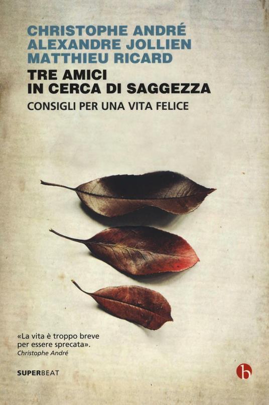 Tre amici in cerca di saggezza. Consigli per una vita felice - Christophe André,Alexandre Jollien,Matthieu Ricard - copertina