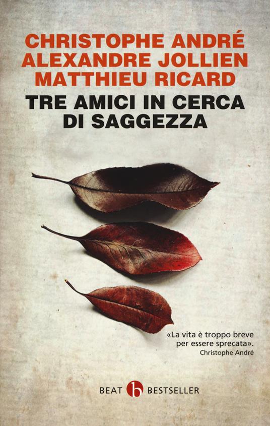 Tre amici in cerca di saggezza. Consigli per una vita felice - Christophe André,Alexandre Jollien,Matthieu Ricard - copertina