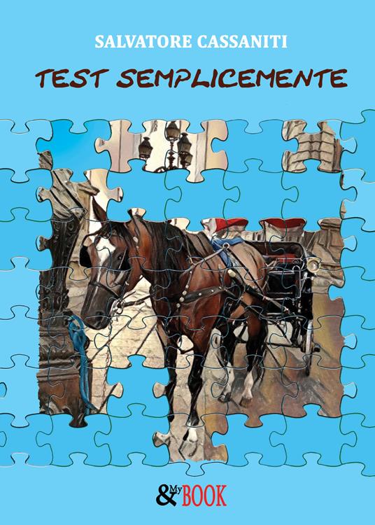 Semplicemente. Test - Salvatore Cassaniti - copertina