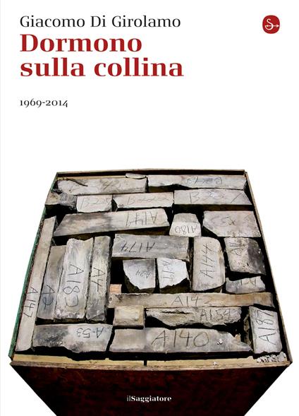 Dormono sulla collina. 1969-2014 - Giacomo Di Girolamo - ebook