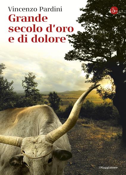 Grande secolo d'oro e di dolore - Vincenzo Pardini - ebook