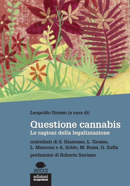 Questione cannabis. Le ragioni della legalizzazione - Leopoldo Grosso - ebook