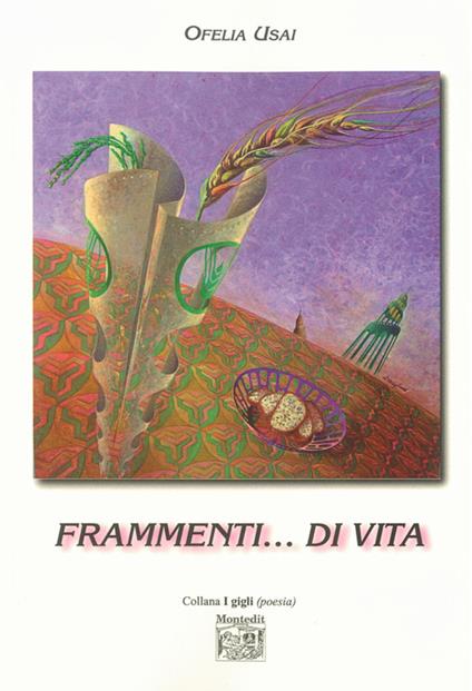 Frammenti... di vita - Ofelia Usai - copertina