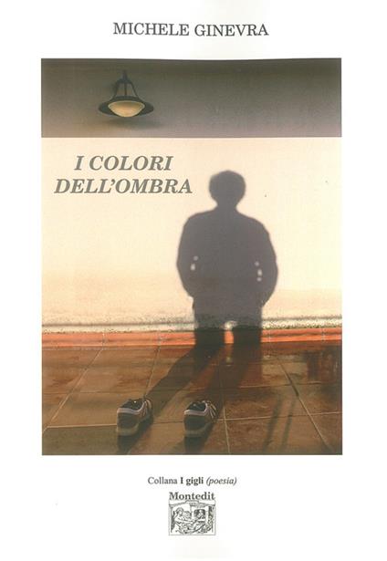 I colori dell'ombra - Michele Ginevra - copertina