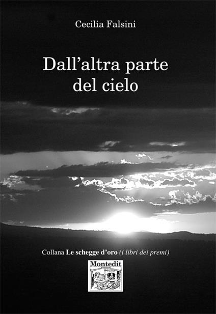 Dall'altra parte del cielo - Cecilia Falsini - copertina