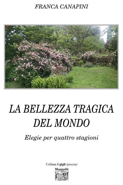 La bellezza tragica del mondo. Elegie per quattro stagioni - Franca Canapini - ebook