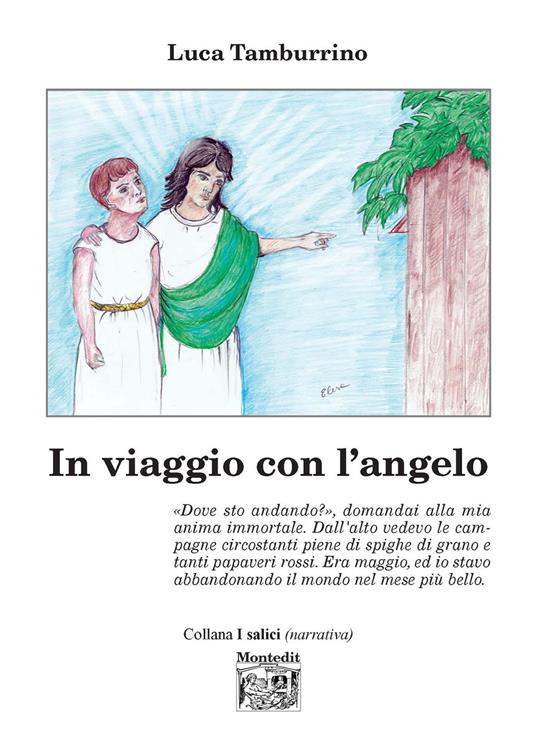 In viaggio con l'angelo - Luca Tamburrino - ebook