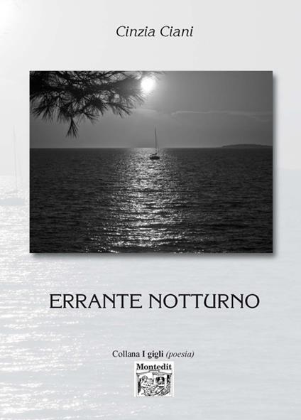 Errante notturno - Cinzia Ciani - copertina