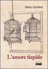 L' amore tiepido - Mario Quintieri - copertina