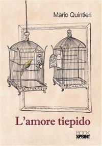 L' amore tiepido - Mario Quintieri - ebook