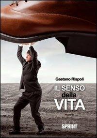 Il senso della vita - Gaetano Rispoli - copertina