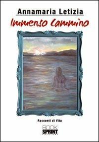 Immenso cammino - Annamaria Letizia - copertina