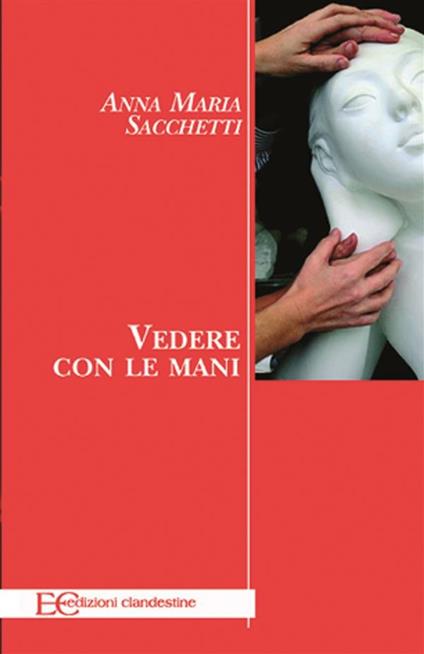 Vedere con le mani - Anna M. Sacchetti - ebook