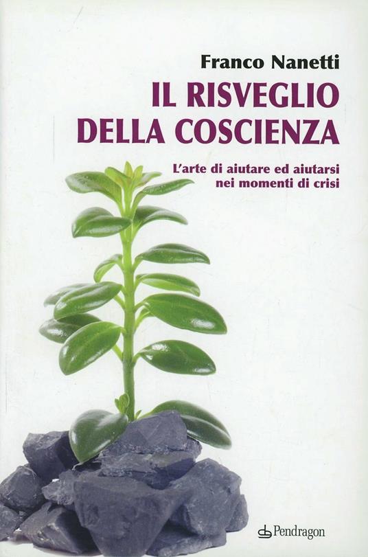 Risveglio della coscienza - Franco Nanetti - copertina