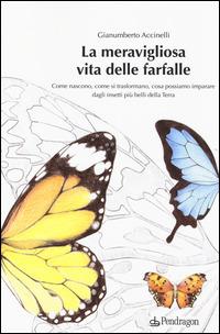 La meravigliosa vita delle farfalle. Come nascono, come si trasformano, cosa possiamo imparare dagli insetti più belli della Terra. Ediz. illustrata - Gianumberto Accinelli - copertina