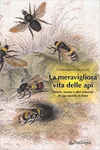 La meravigliosa vita delle api. Amore, lavoro e altri interessi di una società in fiore - Gianumberto Accinelli - 3