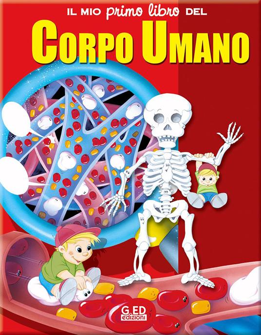 Il mio primo libro del corpo umano. Ediz. illustrata - Clive Gifford - copertina