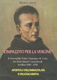 L' impazzito per la vergine - Simone Iuliano - copertina