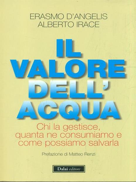 Il valore dell'acqua. Chi la gestisce, quanta ne consumiamo e come possiamo salvarla - Erasmo D'Angelis,Alberto Irace - 4