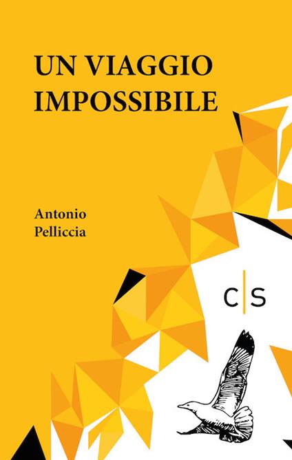 Un viaggio impossibile - Antonio Pelliccia - copertina