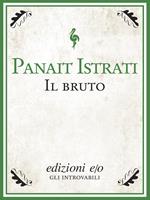 Il bruto