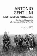 Storia di un artigliere. Dai giorni di Caporetto alla riscossa di Vittorio Veneto