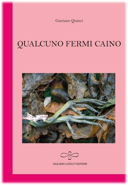 Qualcuno fermi Caino - Gaetano Quinci - copertina