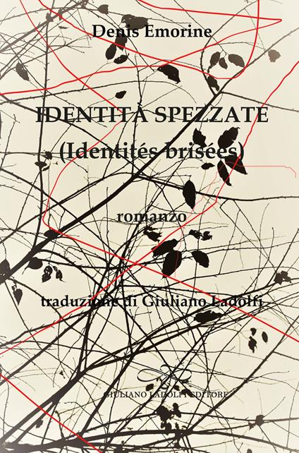 Identità spezzate (identités brisées) - Denis Emorine - copertina