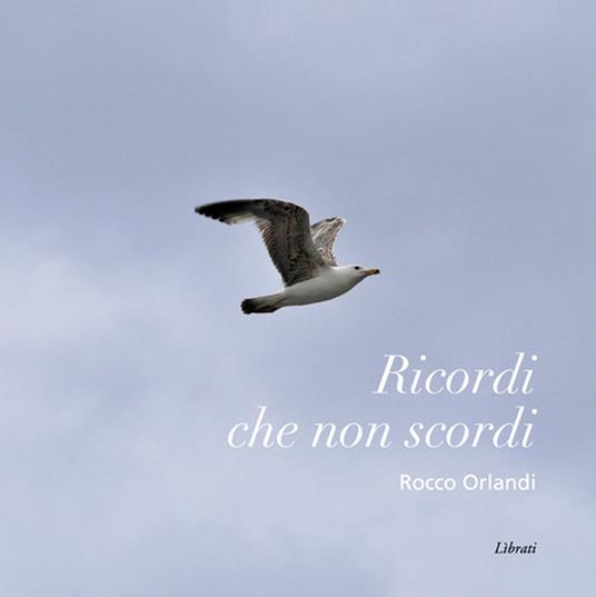 Ricordi che non scordi - Rocco Orlandi - copertina