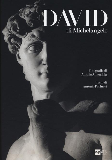 Il David di Michelangelo - Antonio Paolucci,Aurelio Amendola - 3