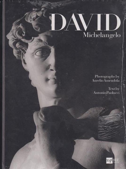 Il David di Michelangelo - Antonio Paolucci,Aurelio Amendola - copertina