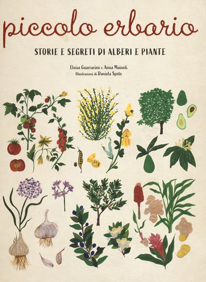 Piccolo erbario. Storie e segreti di alberi e piante - Eloisa Guarracino,Anna Mainoli,Daniela Spoto - ebook
