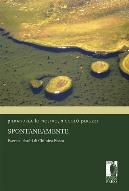 Spontaneamente. Esercizi risolti di chimica fisica - Pierandrea Lo Nostro,Niccolò Peruzzi - copertina