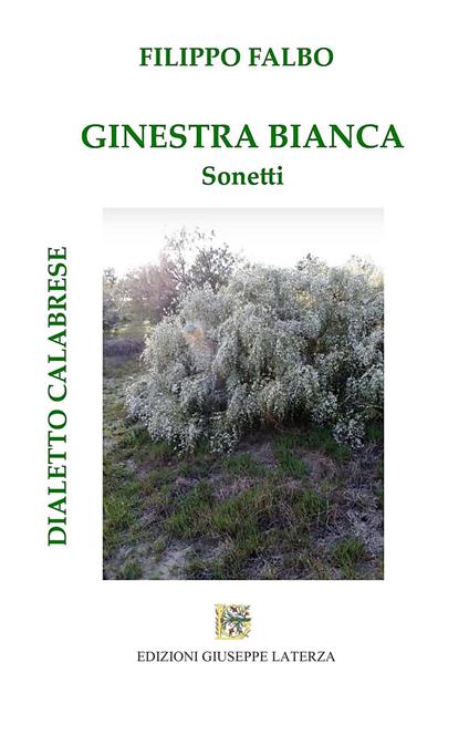 Ginestra bianca. Sonetti - Filippo Falbo - copertina