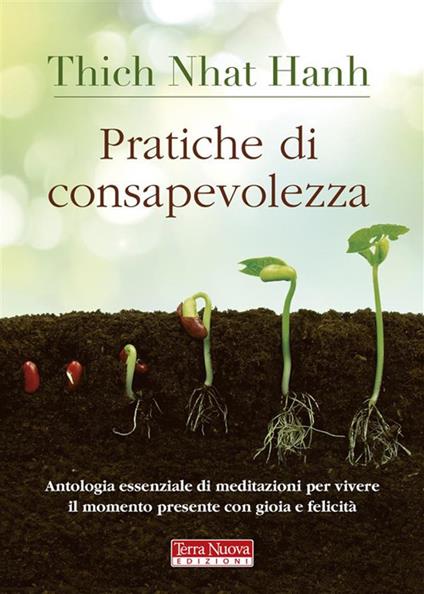 Pratiche di consapevolezza. Antologia essenziale di meditazioni per vivere il momento presente con gioia e felicità - Thich Nhat Hanh,Diana Petech - ebook