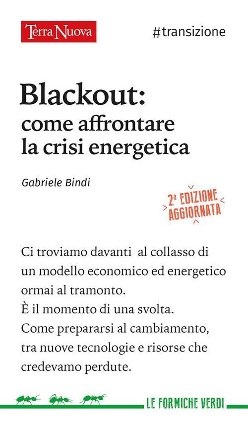 Blackout. Come affrontare la crisi energetica - Gabriele Bindi - ebook