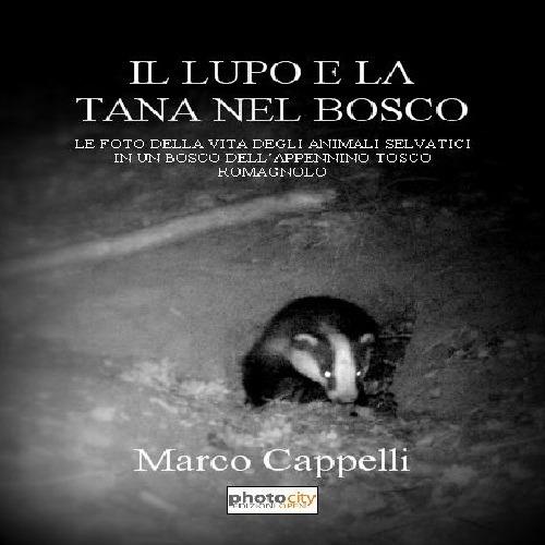 Il lupo e la tana nel bosco. Le foto della vita degli animali selvatici in un bosco dell'Appennino tosco-romagnolo - Marco Cappelli - copertina