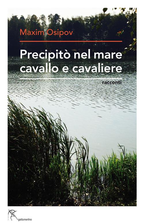 Precipitò nel mare cavallo e cavaliere - Maxim Osipov - copertina