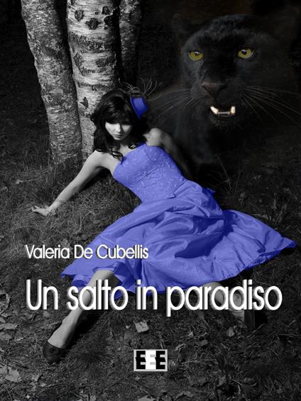 Un salto in paradiso - Valeria De Cubellis - copertina