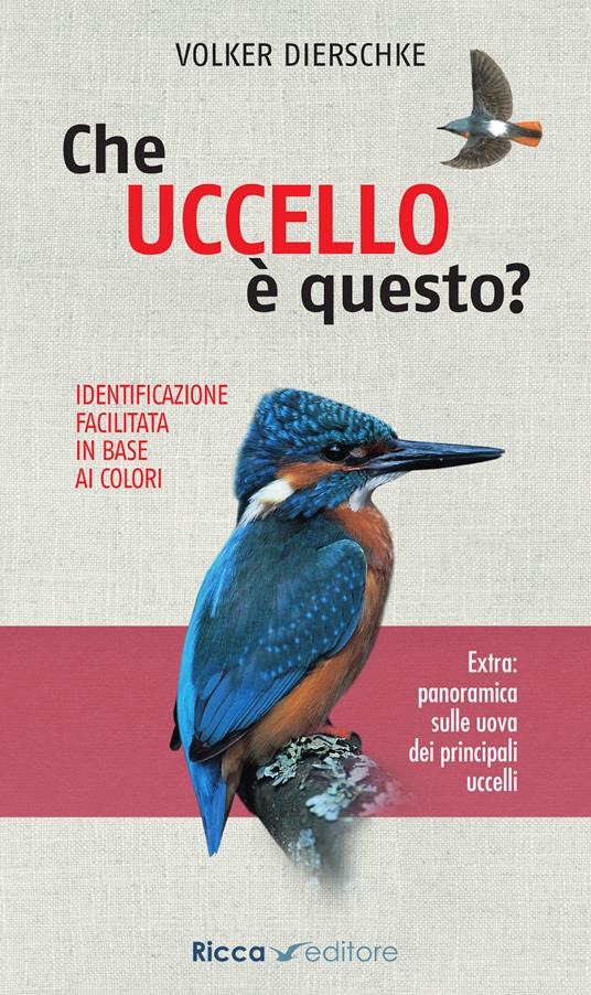 9781805310617 2023 - L'elicottero. Libri cucù 