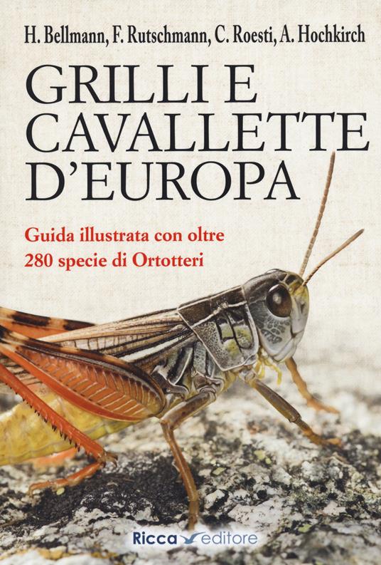 Grilli e cavallette d'Europa - Heiko Bellmann - Libro - Ricca - Scienze  naturali. Manuali | IBS