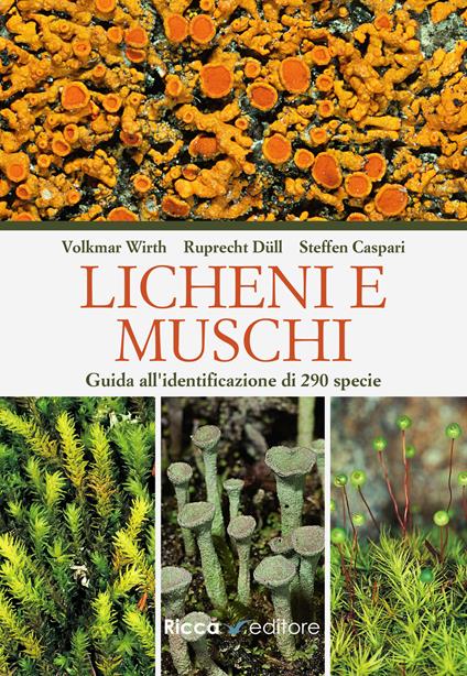 Licheni e muschi. Guida all'identificazione di 290 specie - Volkmar Wirth,Ruprecht Düll,Steffen Caspari - copertina