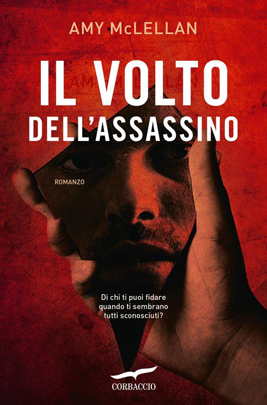 Il volto dell'assassino - Amy McLellan,Maria Elisabetta De Medio - ebook