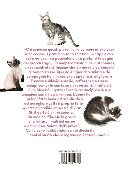 Ti amo amico gatto. - Pensione da Gatti