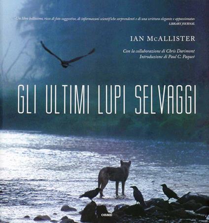 Gli ultimi lupi selvaggi. Ediz. illustrata - Ian McAllister,Chris Darimont - copertina