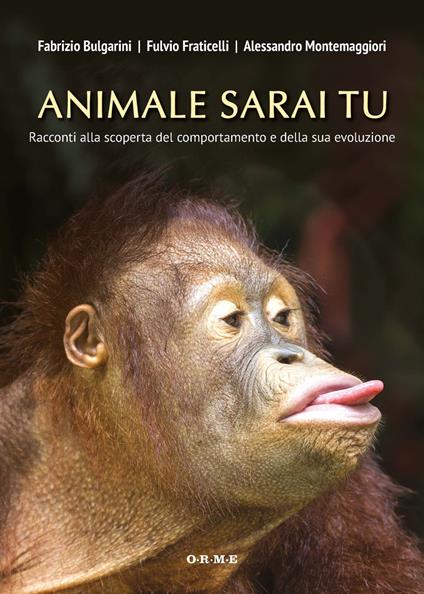 Animale sarai tu. Racconti alla scoperta del comportamento e della sua evoluzione - Fabrizio Bulgarini,Fulvio Fraticelli,Alessandro Montemaggiori - copertina