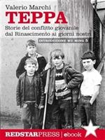 Teppa. Storie del conflitto giovanile dal Rinascimento ai giorni nostri