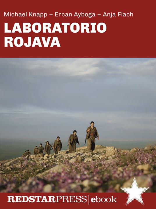 Laboratorio Rojava. Confederalismo democratico, ecologia radicale e liberazione delle donne nella terra della rivoluzione - Ercan Ayboga,Anja Flach,Michael Knapp,Rete Kurdistan Italia - ebook