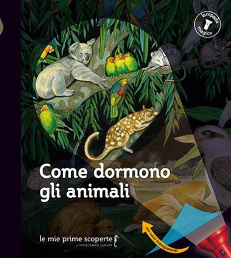 Come dormono gli animali. Lampada magica - copertina