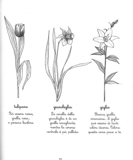 Le mie attività Montessori. Ediz. illustrata - Ève Herrmann - 4